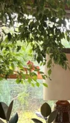 Комментарий с изображением на AdMe.Media