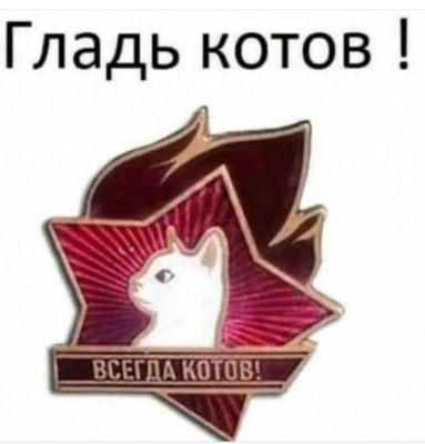 Комментарий с изображением на AdMe.Media