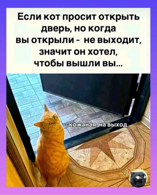 Комментарий с изображением на AdMe.Media