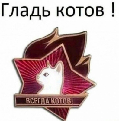 Комментарий с изображением на AdMe.Media