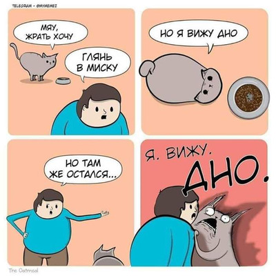 Комментарий с изображением на AdMe.Media