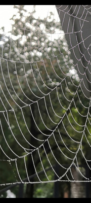 Комментарий с изображением на AdMe.Media