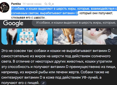 Комментарий с изображением на AdMe.Media