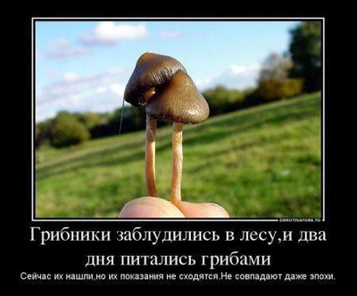 Комментарий с изображением на AdMe.Media