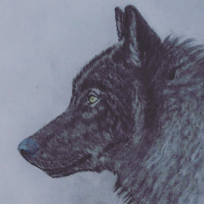 Комментарий с изображением на AdMe.Media