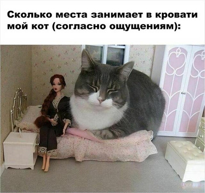 Комментарий с изображением на AdMe.Media