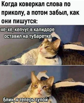Комментарий с изображением на AdMe.Media