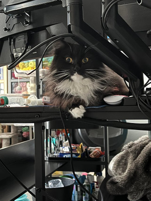 Комментарий с изображением на AdMe.Media