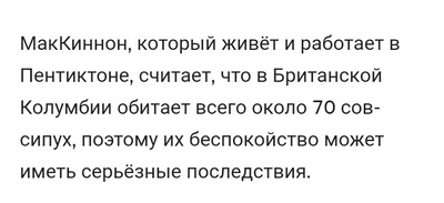 Комментарий с изображением на AdMe.Media