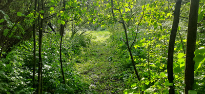 Комментарий с изображением на AdMe.Media