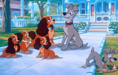 Комментарий с изображением на AdMe.Media