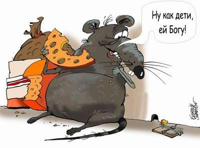 Комментарий с изображением на AdMe.Media