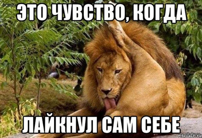 Комментарий с изображением на AdMe.Media