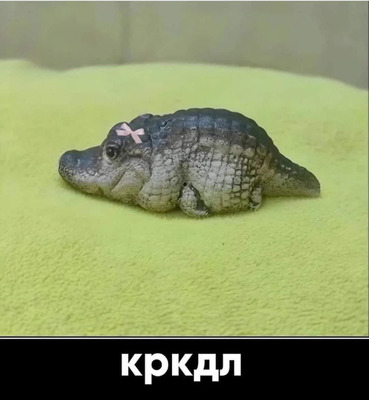 Комментарий с изображением на AdMe.Media