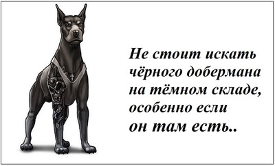 Комментарий с изображением на AdMe.Media