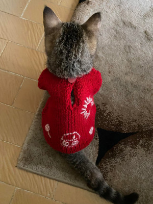 Комментарий с изображением на AdMe.Media