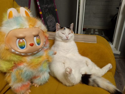 Комментарий с изображением на AdMe.Media