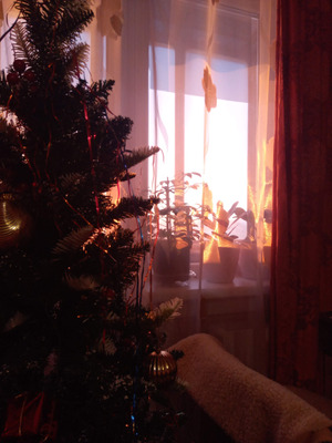 Комментарий с изображением на AdMe.Media