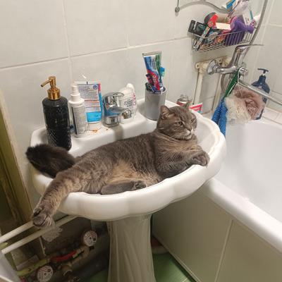 Комментарий с изображением на AdMe.Media