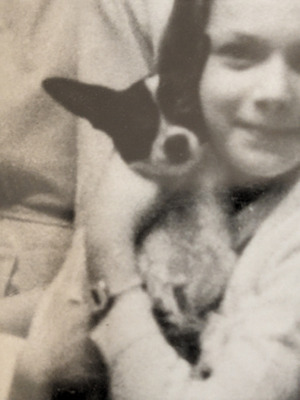 Комментарий с изображением на AdMe.Media