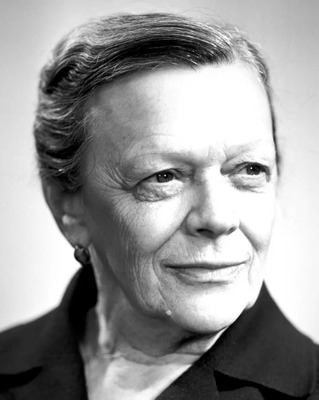 Комментарий с изображением на AdMe.Media