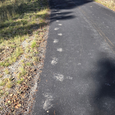 Комментарий с изображением на AdMe.Media