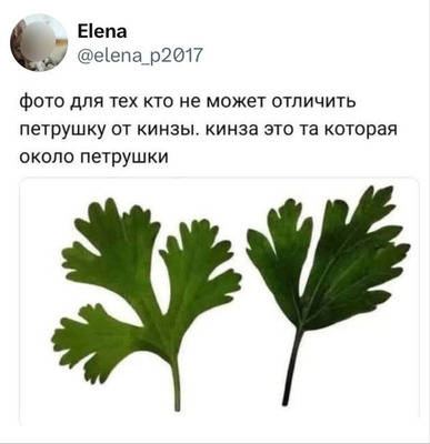Комментарий с изображением на AdMe.Media