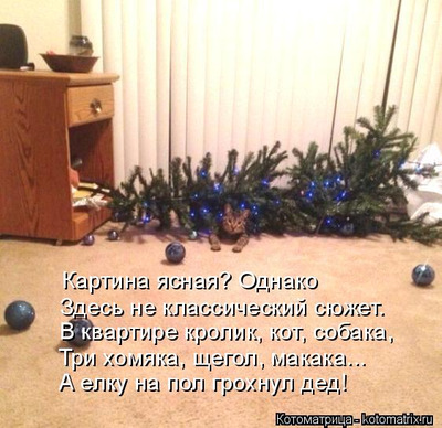 Комментарий с изображением на AdMe.Media