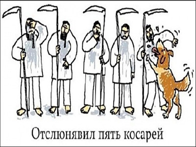 Комментарий с изображением на AdMe.Media