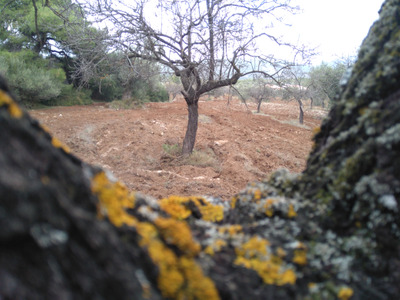 Комментарий с изображением на AdMe.Media