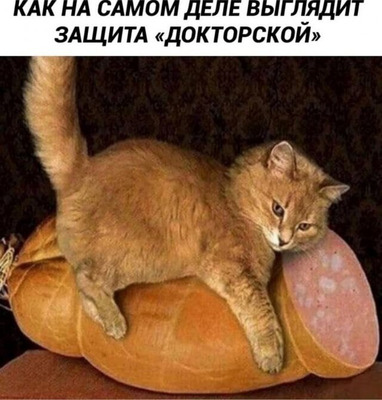 Комментарий с изображением на AdMe.Media