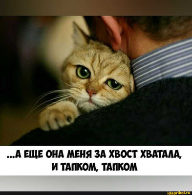 Комментарий с изображением на AdMe.Media