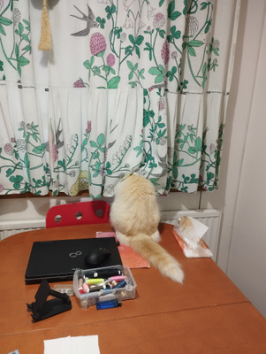 Комментарий с изображением на AdMe.Media