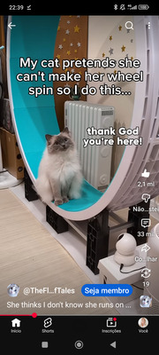 Комментарий с изображением на AdMe.Media