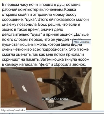 Комментарий с изображением на AdMe.Media