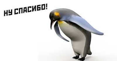 Комментарий с изображением на AdMe.Media
