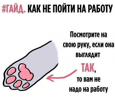 Комментарий с изображением на AdMe.Media