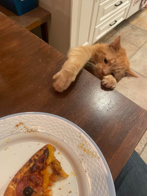 Комментарий с изображением на AdMe.Media