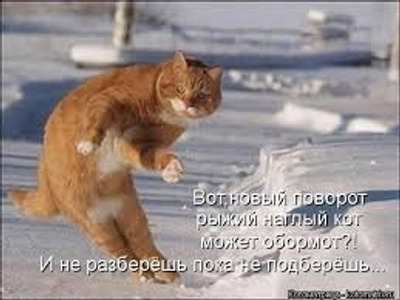 Комментарий с изображением на AdMe.Media
