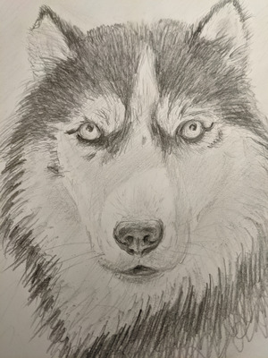 Комментарий с изображением на AdMe.Media