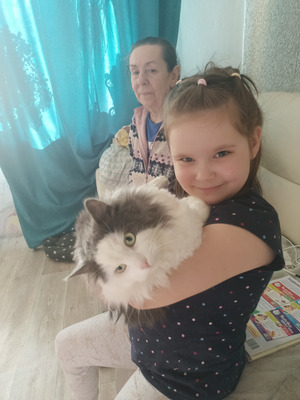 Комментарий с изображением на AdMe.Media