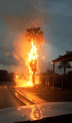 Комментарий с изображением на AdMe.Media