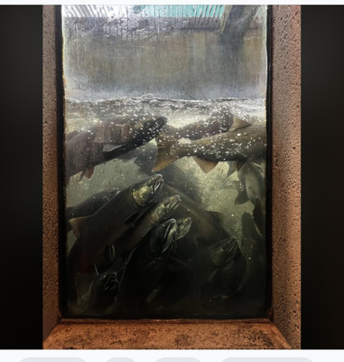 Комментарий с изображением на AdMe.Media