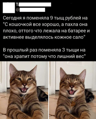 Комментарий с изображением на AdMe.Media