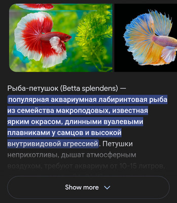 Комментарий с изображением на AdMe.Media