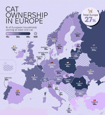 Комментарий с изображением на AdMe.Media