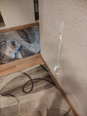 Комментарий с изображением на AdMe.Media