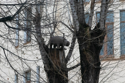 Комментарий с изображением на AdMe.Media