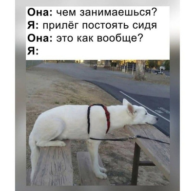 Комментарий с изображением на AdMe.Media