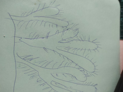 Комментарий с изображением на AdMe.Media